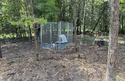 Starkville Location De VR | Campsite out of Starkville Mississippi. Great for MSU Games and Activities.