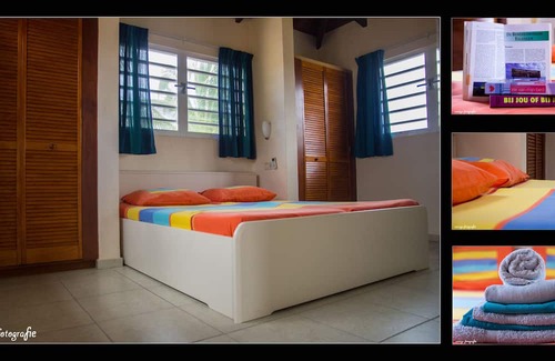 Sabal Palm Maison | Bonaire: Sabal Palm 50 guesthouse