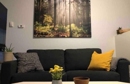 Sioux Lookout Maison | Cozy walk in ready tiny home in the heart of town, walking distance to hospital