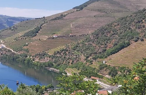 Bomfim Maison | Typical House in the heart of the Douro