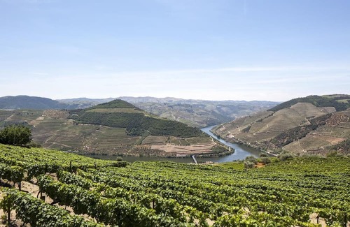Bomfim Maison | Typical House in the heart of the Douro