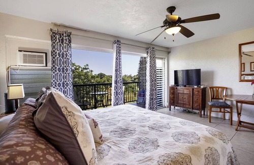 Poipu Copropriété | Prince Kuhio 335 OCEANVIEW STUDIO