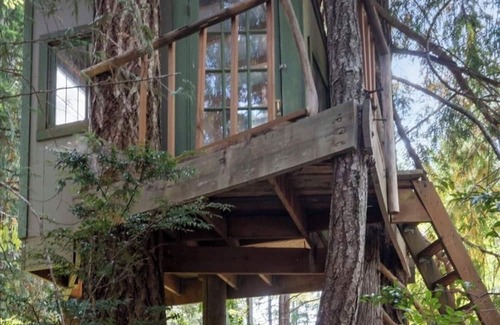 Shelton Cabine | Cozy 2-bedroom lakefront cabin with tranquil views