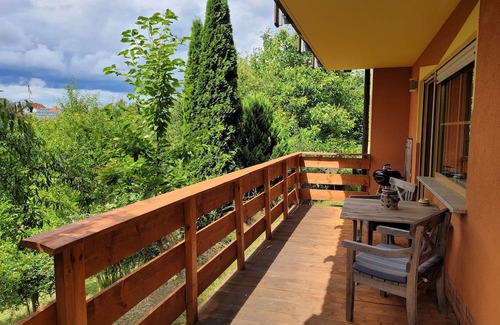 Langenschwarz Appartement | Vacation apartment/apartment for 2 guests with 50m² in Burghaun (270430)