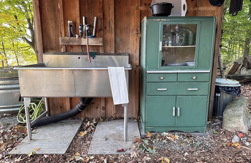 Winona Cabine | Private cabin and spa in the woods! Pet Friendly!