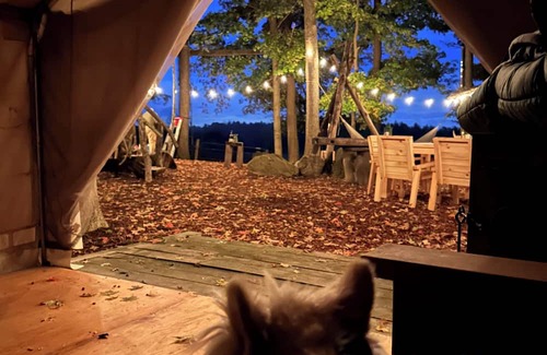 Winona Cabine | Private cabin and spa in the woods! Pet Friendly!