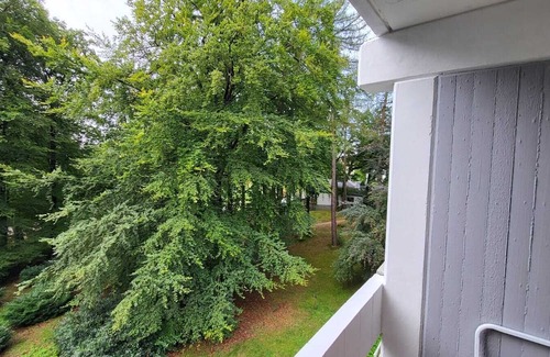 Ehlscheid Appartement | Quiet vacation apartment at the spa gardens in Ehlscheid