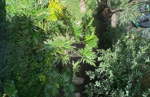 Puebla Maison | IDEAL HOUSE FOR GROUPS OR FAMILIES IN A HISTORIC AND WOODED AREA