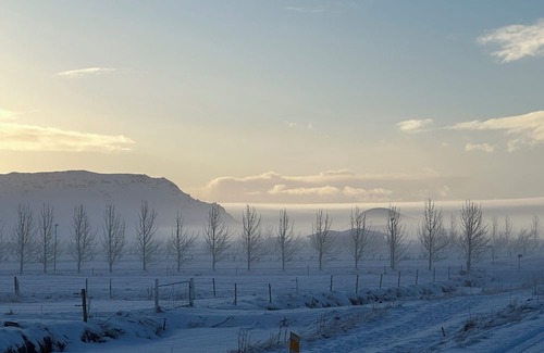 Sveitarfelagid Olfus Appartement | Fancy Iceland? Central location in South Iceland.