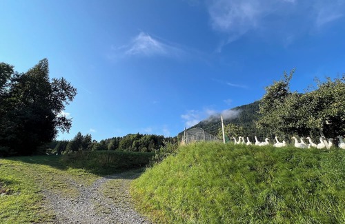 Hohenthurn Maison | Fair-priced and compact rooms overlooking Dobratsch (10 mins to Dreiländereck)