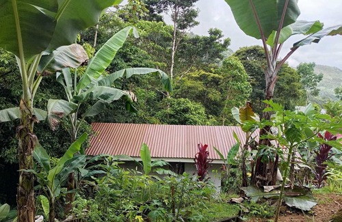 Pejibaye Maison | Tiny House Dans les Montagnes à Deux pas de la Rivière