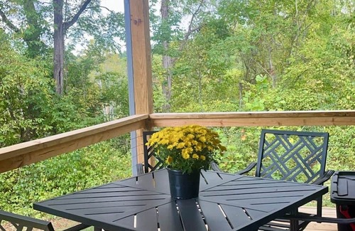 Damascus Cabine | NEW! Forty Winks 6 guest Modern Cabin in Damascus, VA!