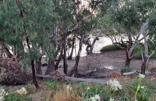 Murbko Maison | Rivergums Homestead - River Frontage! nWith ski beach and board walk.