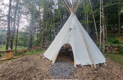 Williamstown Cabine | Lodges @ Tamias Post