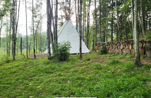 Williamstown Cabine | Lodges @ Tamias Post