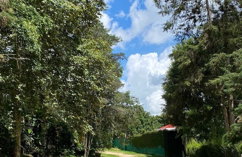 El Carrizal Maison | Charming hotel near the delightful "Pueblo Mágico", Coatepec, Ver.