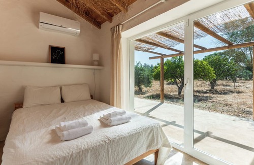 Sao Domingos Autre | Monte with 2 T2 houses - Tanque Alentejano - exclusive use of the property