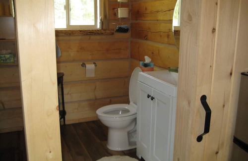 Trout Creek Cabine | Delightful log cabin in Trout Creek