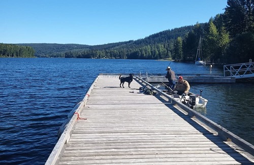 Likely Maison | Cozy cabin meters away from the Cedar creek and Quesnel Lakennnn