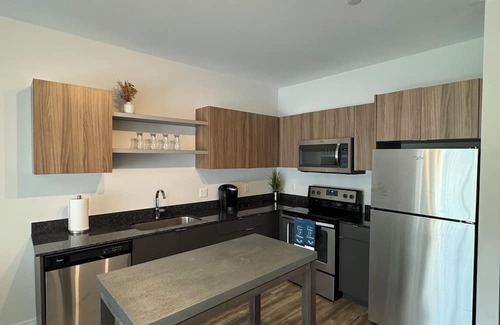 Midtown Appartement | 2BR2B Modern Oasis D/twn Detroit with Pool. Walk to all stadiums and theatres