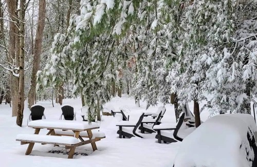 Stroudsburg Cabine | Pickle-ball & Volleyball Courts, In Ground Heated Pool, Central but Secluded