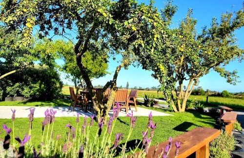 Kaikoura Cabine | Christmas 2024: 11 people, Hot Tubs, Spectacular Views, Plenty of Space to Play