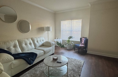 New Tampa Appartement | Spacious 2br , 2bath in the New Tampa area