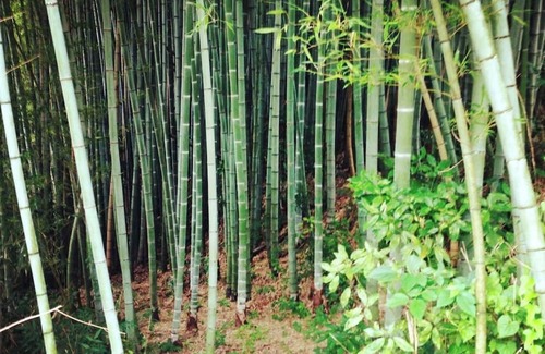Kibichuo Maison | Weekdays only Private rental of a traditional Ja / Kagagun Okayama