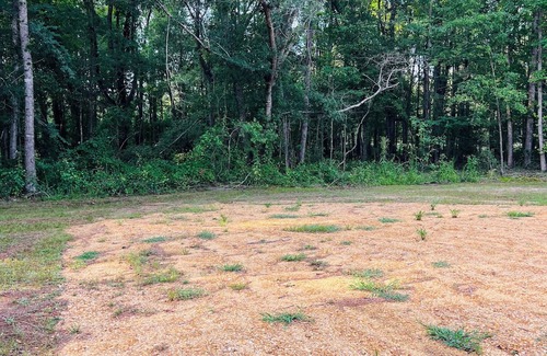 Grady Location De VR | Enjoy the peaceful country scenery and the serenity of being one with nature!