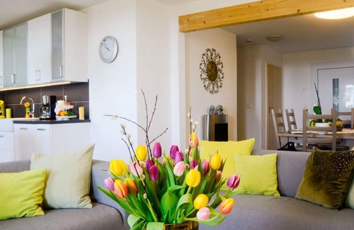 Uehlingen-Birkendorf Maison | In the singer's house, a modern retreat