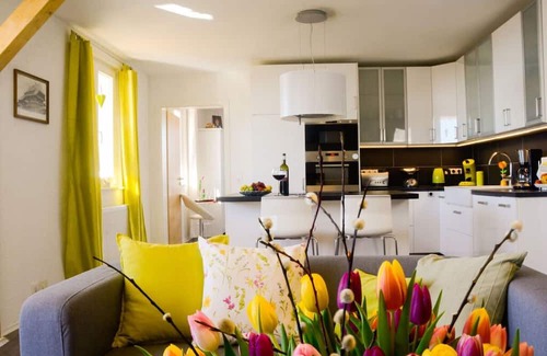 Uehlingen-Birkendorf Maison | In the singer's house, a modern retreat