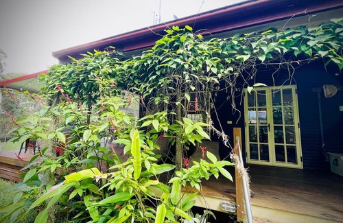 Cootharaba Cottage | Relaxing Family-Friendly Vacation Home with a nature view in Noosa Hinterland!
