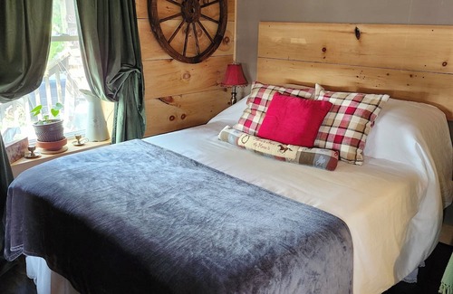 Cardinal Appartement | Rustic Studio Apartment in Cardinal, ON WiFi, AC, firetable & seasonal hot tub!