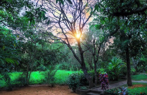 Sigiriya Maison | Escape to Nature's Peace: Relax in Comfort at Cattleya Guest House on VRBO!