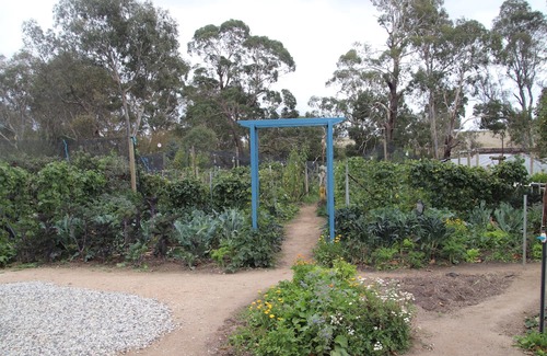 Metcalfe Maison | Unwind in a cosy bungalow in the midst of our organic permaculture mini-farm.