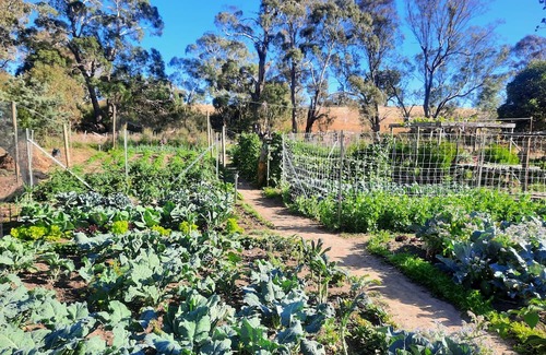 Metcalfe Maison | Unwind in a cosy bungalow in the midst of our organic permaculture mini-farm.