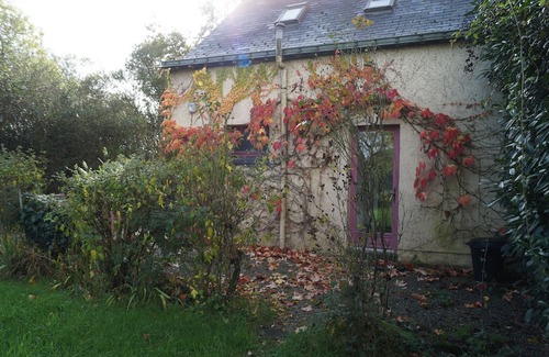 Le Pin Maison | Gîte "coquelicots" à la Campagne Pour 6-8 Personnes