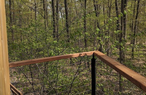 West Lincoln Cabine | Modern Cabin in the Woods