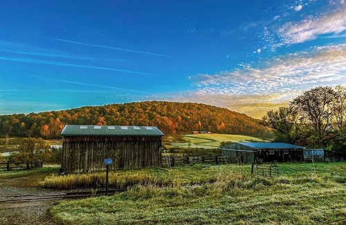 Andover Location De VR | Creekside Yurt