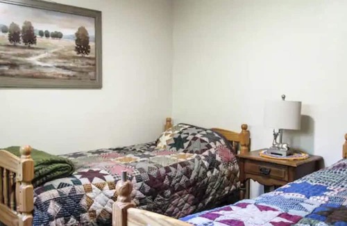 Montrose Cabine | Charming cabin with creek, fire pit. Pet friendly! Walkable to Salt Springs Prk