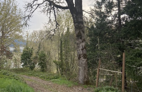 Cottage Grove Appartement | Lake house Tiny