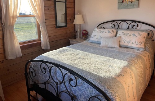 Geneseo Cabine | The Cozy Cabin On Long Point