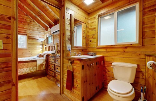 Marmot Cabine | Secluded cabin with pond views, streaming, W/D, & partial AC - dog-friendly