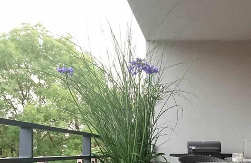 Oos Appartement | Apartment 'Gemütliches Businessapartment' with Private Terrace, Balcony and Wi-Fi