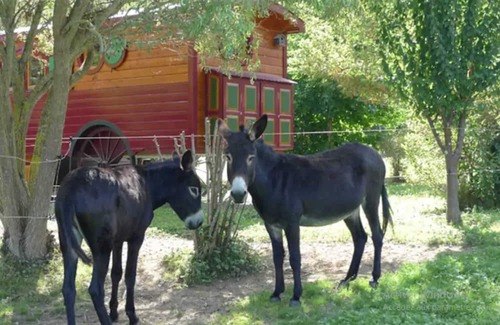 Sedeilhac Maison | Homerez - Beautiful bungalow for 4 ppl. with terrace at Sédeilhac