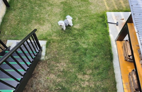 Shikokuchuo Location De VR | Dog allowed Trailer house with camping space / Shikokuchuo City Ehime