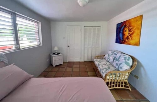 Old Towne Maison | Bananaquit at the beach!