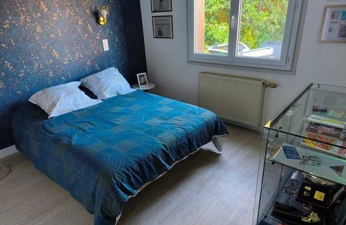 Marmagne Maison | Maison 2 Chambres et Jardin - Décorée Avec la Thématique Retour Vers le Futur