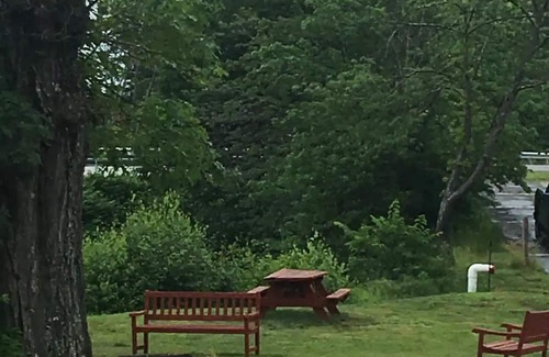 Lochmere Cabine | 1 BR Cabin with Dock and Shared Beach