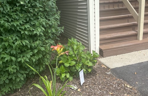 West Warwick Copropriété | 1 BR/1.5 Bath - 20 min from Beach!